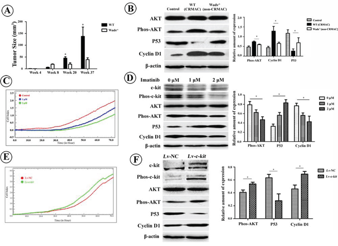 Figure 4: