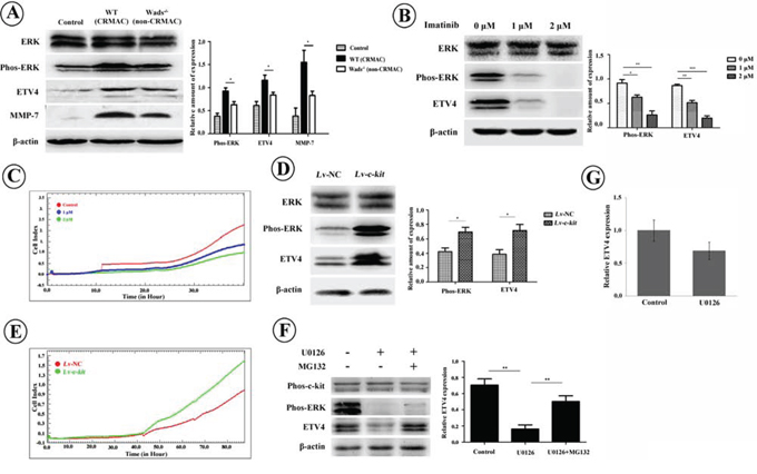 Figure 6: