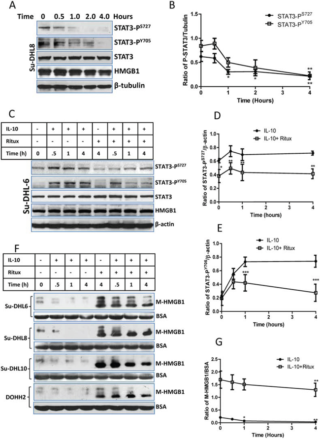 Correlation between STAT3 inhibition and HMGB1 release.