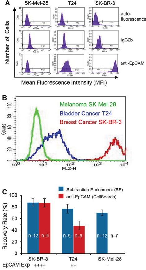 Characterization of EpCAM expression on tumor cells and comparison of isolation efficiency between subtraction enrichment (SE) vs anti-EpCAM capture strategy.