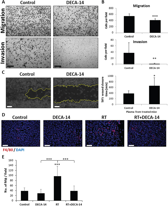 DECA-14 inhibits migratory properties of macrophages in vitro and in vivo.