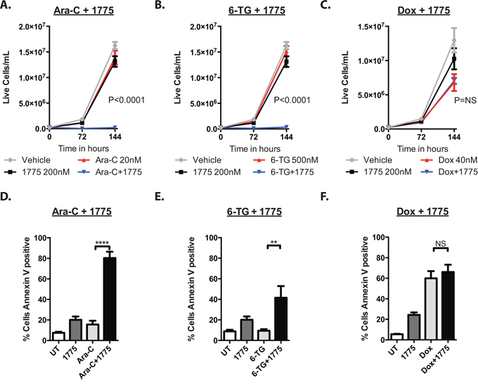 AZD1775 impairs the proliferative capacity and enhances apoptosis of leukemia cells after exposure to cytarabine and 6-thioguanine, but not doxorubicin.