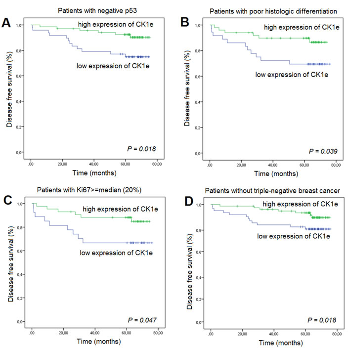Kaplan-Meier survival curves for breast cancer patients who were classified with either low or high CK1&#x190; expression.