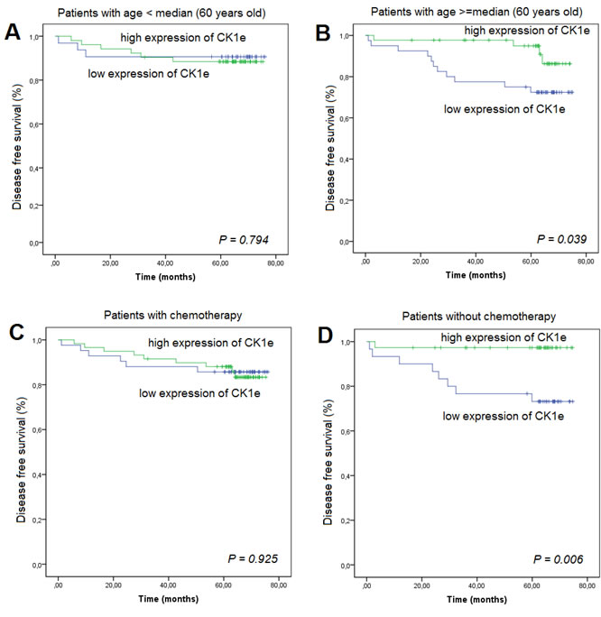 Kaplan-Meier survival curves for breast cancer patients who were classified with either low or high CK1&#x190; expression.