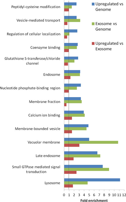 Functional analysis of proteins significantly increased in urinary exosomes from prostate cancer patients.