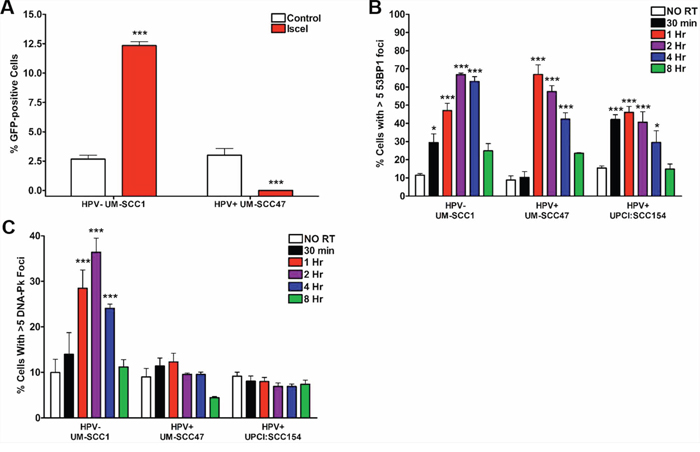 HPV+ HNSCCs harbor defects in NHEJ repair signaling.