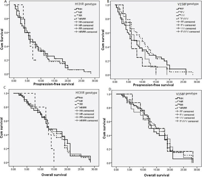 Kaplan-Meier curves for FCGR2A H131R and FCGR3A V158F for progression-free survival and overall survival.