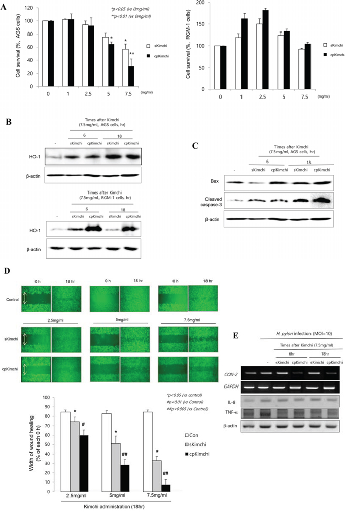 Biological actions of standard Kimchi (sKimchi) and cpKimchi; comparison in in vitro H. pylori cell model.