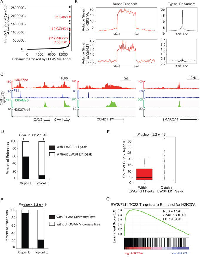 Super-enhancer profiling in TC32 identifies CCND1 and other important EWS/FLI1 targets.