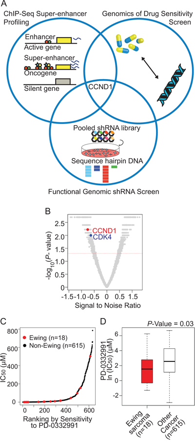 An integrative approach to identify Ewing sarcoma specific dependencies.