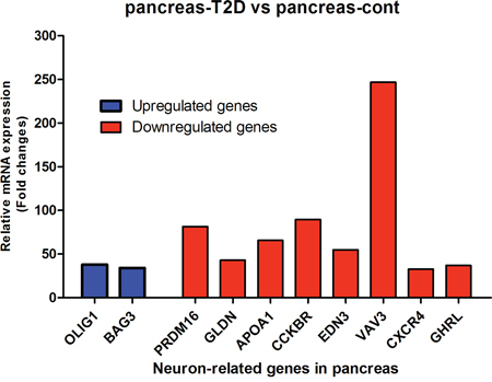 mRNA analysis of highly changed expression of 10 genes with a neuronal function in pancreas and pancreas with T2D.