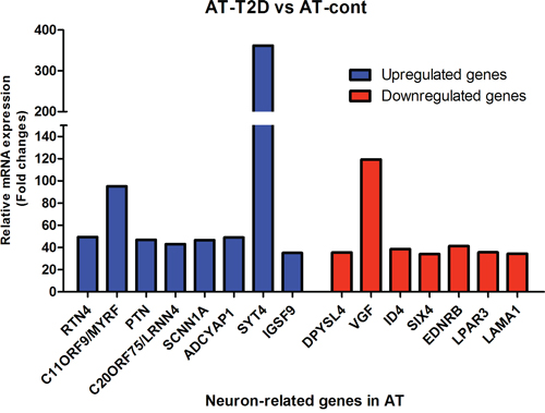 mRNA analysis of highly changed expression of 15 genes with a neuronal function in AT and AT with T2D.