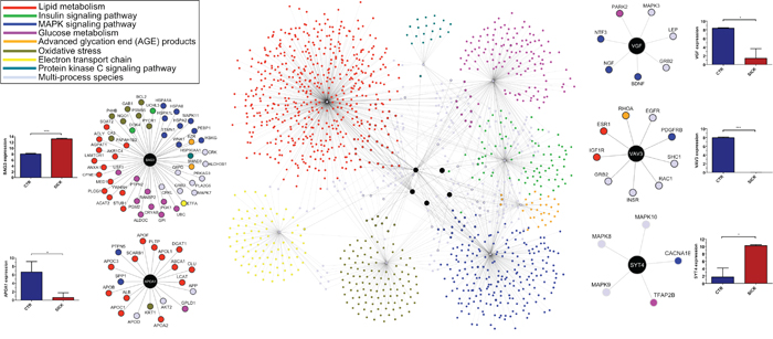 Functional interaction networks of the 5 most differentially expressed genes between AT and AT with T2D, and pancreas and pancreas with T2D.