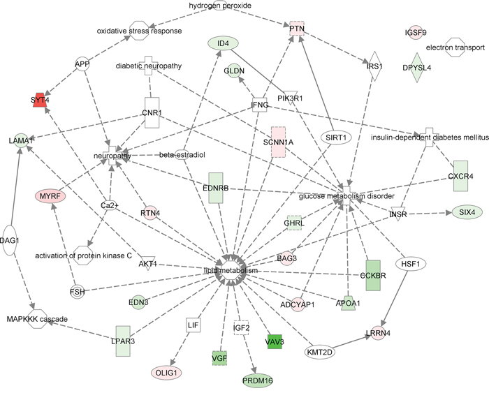 In-silico functional enrichment analysis of 25 differentially expressed genes between AT and AT with T2D, and pancreas and pancreas with T2D.