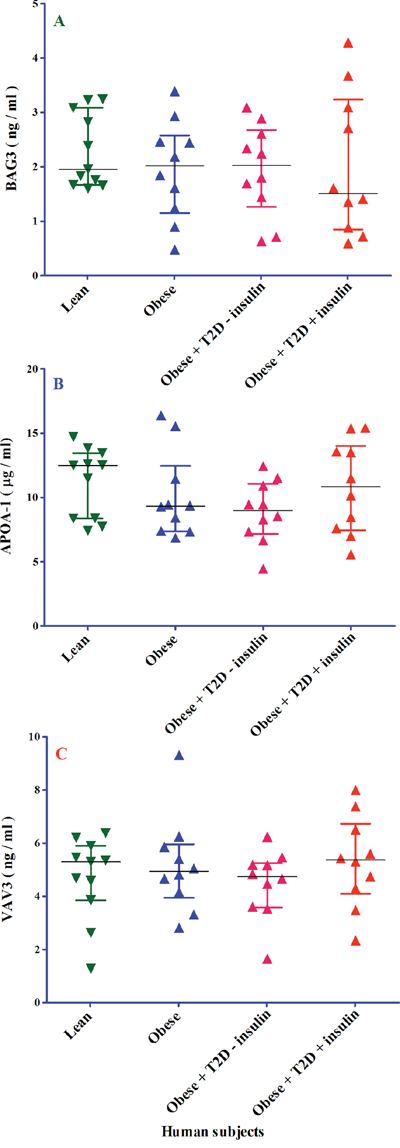 The analysis of BAG3, APOA1 and VAV3 proteins in four different groups of 41 human subjects by ELISA.