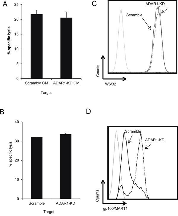 ADAR1-mediated regulation of melanoma immune resistance is dependent on cell-cell interaction.