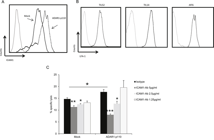 ADAR1 regulates ICAM1 expression, which contributes to TIL mediated killing.