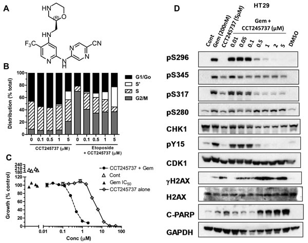 Structure and cellular pharmacology of CCT245737.