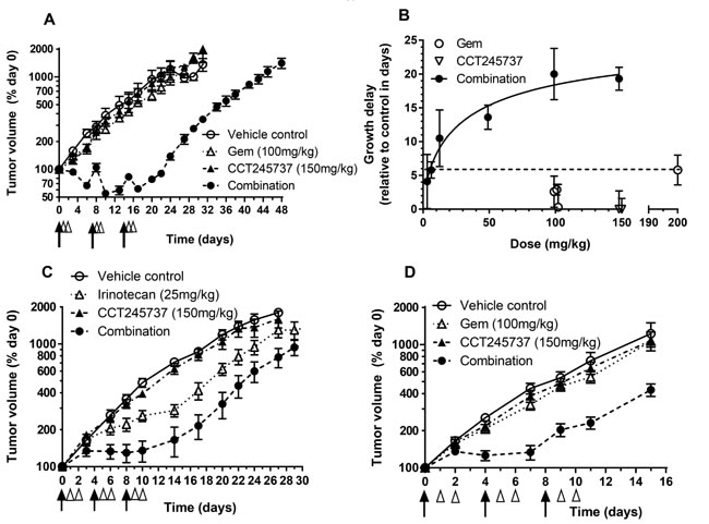 Therapeutic activity of CCT245737 in combination with gemcitabine or irinotecan in human tumor xenografts.