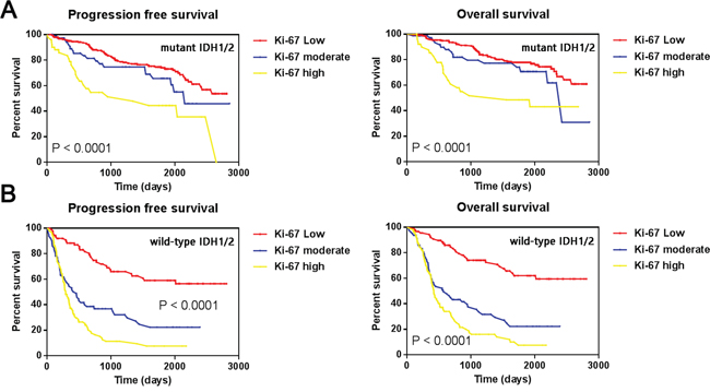 Kaplan-Meier estimates of survival for all 703 gliomas.