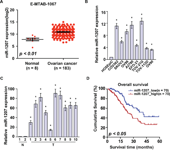 Overexpression of miR-1207 is positively associated with ovarian cancer prognosis.