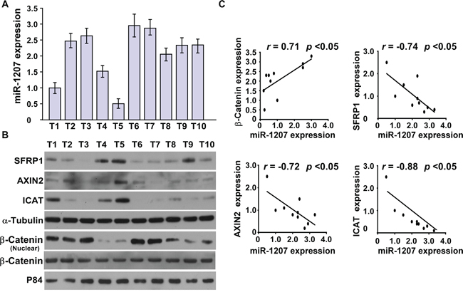MiR-1207 levels were correlated with SFRP1, Axin2, ICAT, and nuclear &beta;-catenin expression in ovarian cancer clinical tissues.
