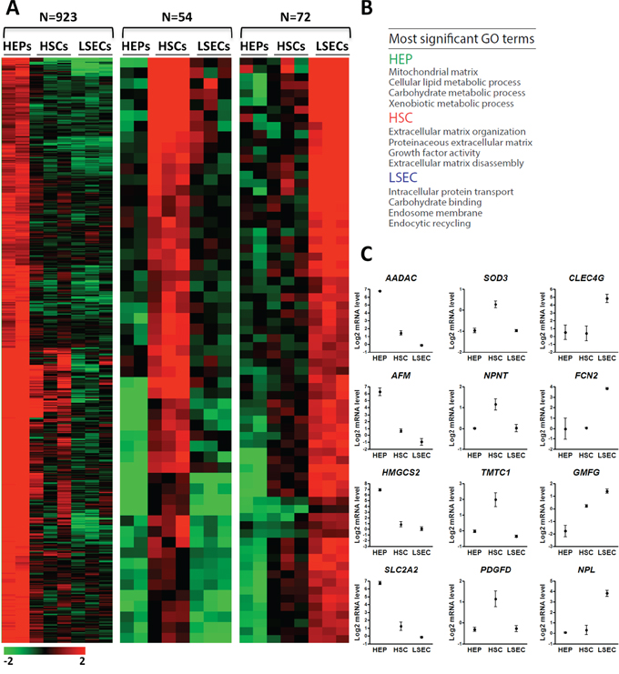 Gene expression profiling of HSCs, LSECs and HEPs identifies liver cell type selective gene expression patterns.