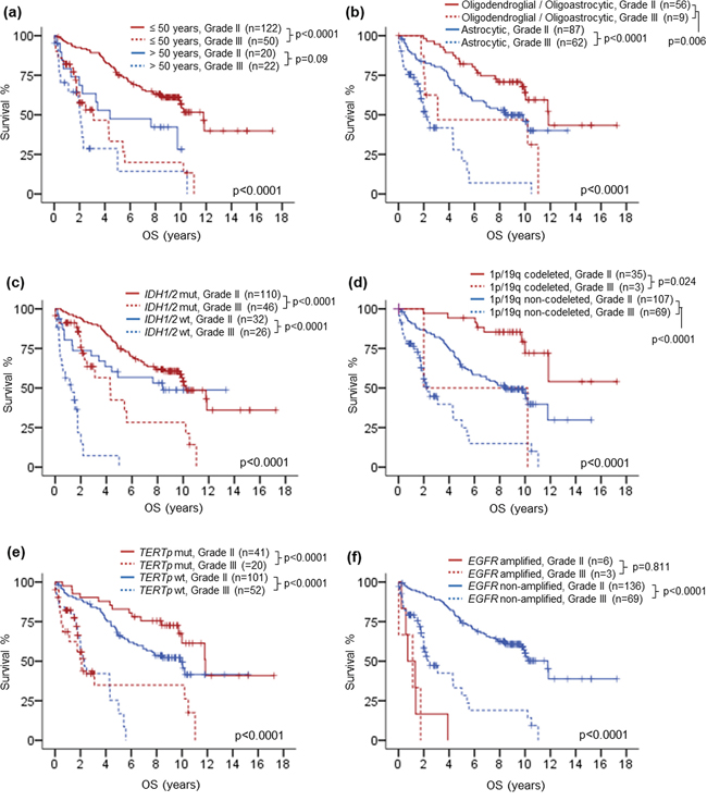 Kaplan-Meier survival analysis by co-evaluating histological grade with clinical and molecular variables.