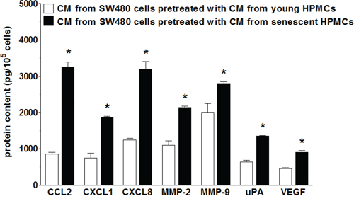 Secretory profile of SW480 cells subjected to conditioned medium (CM) generated by young and senescent HPMCs.