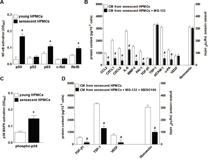 Analysis of signaling pathways underlying increased secretory properties of senescent HPMCs.