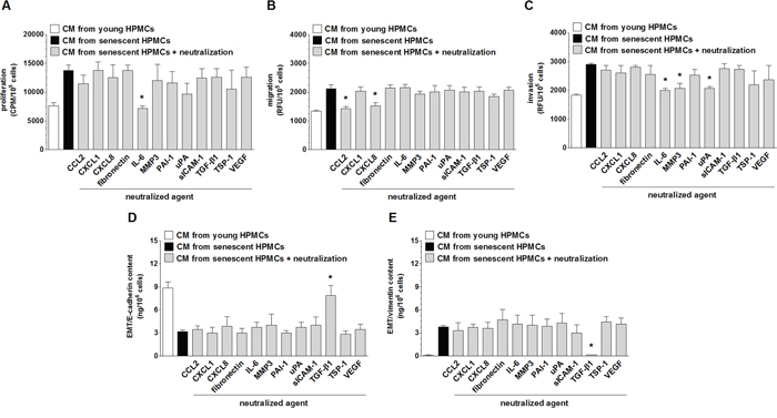 Identification of the mediators of pro-cancerogenic activity of senescent HPMCs.