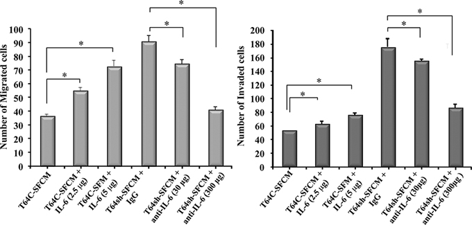 The pro-migratory/invasiveness effects of p16-deficient fibroblasts are IL-6-dependent.