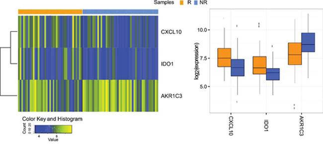 Three genes were validated using Multtest package (Benjamini&#x2013;Hochberg procedure with p = 0.05 assumption).