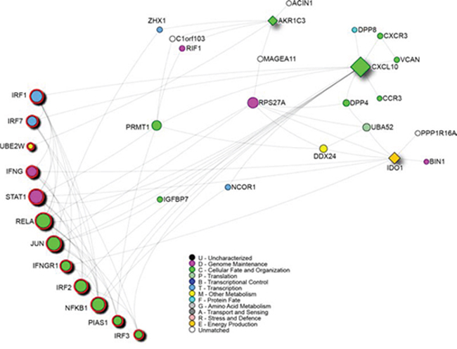 Network analysis of the three genes response-related signature positive to the multtest.