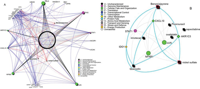 A. Known chemical compounds targeting the signature network reported in Figure 2.