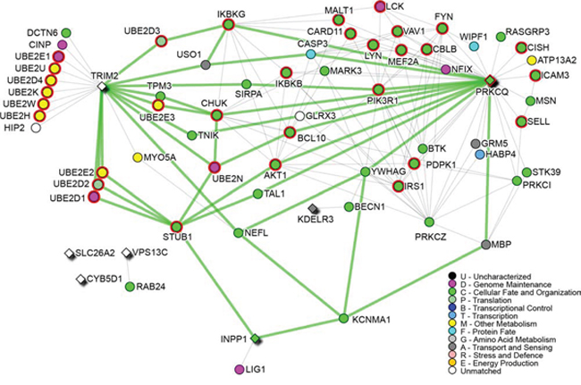 Survival signature network.