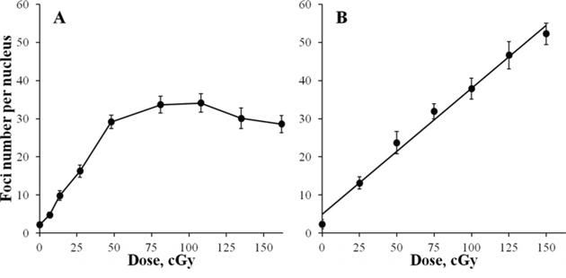Formation of &#x03B3;H2AX foci in diploid normal human fibroblasts during continuous exposure to X-ray radiation at a dose-rate of 4.5 mGy/min A.