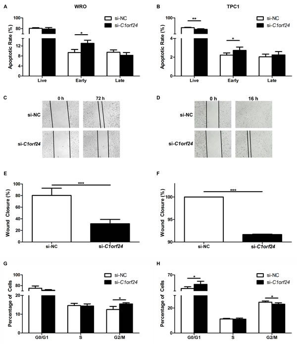 Effect of siRNA-mediated