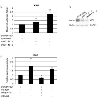 fig6b