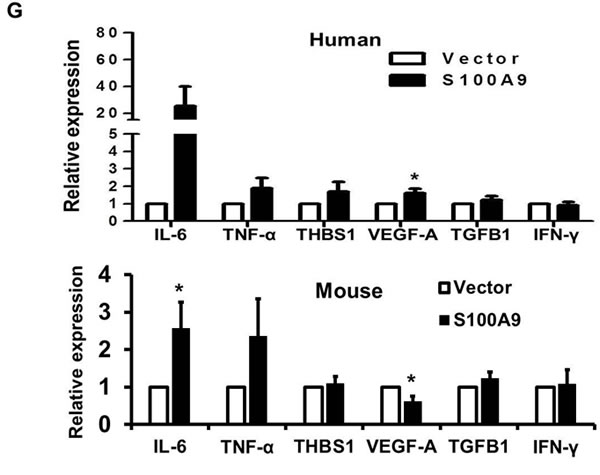 fig2g