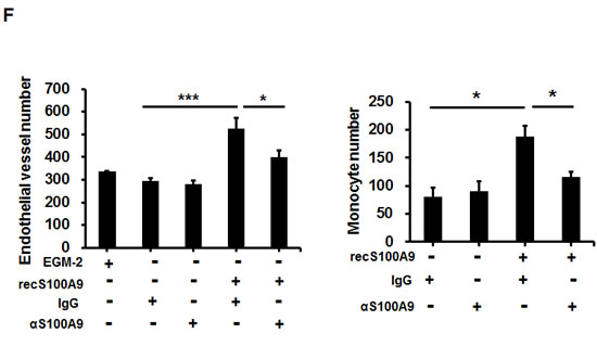 fig4f