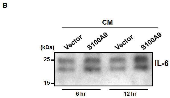 fig5b