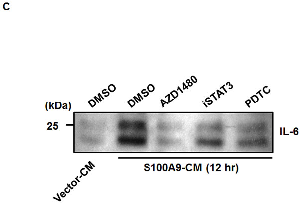 fig5c