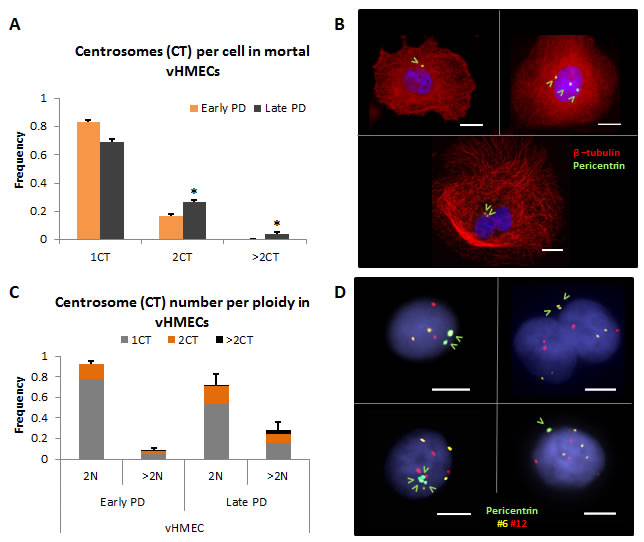 Centrosome aberrations in vHMECs increase with PDs.