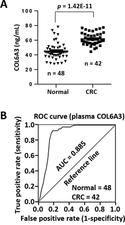 Circulating COL6A3 protein is a potential plasma marker of CRC.