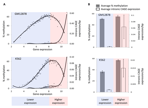 Decreasing levels of gene body methylation, starting from mid-levels of gene expression are correlated with increasing levels of intronic expression.