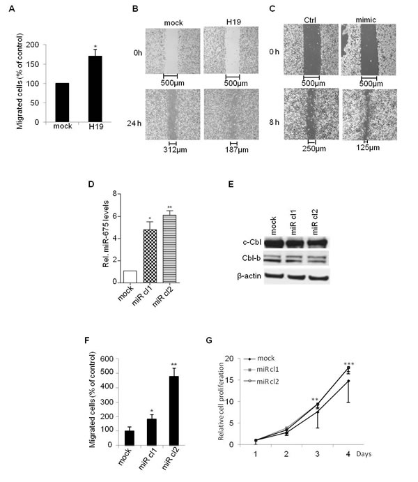 Figure 5: