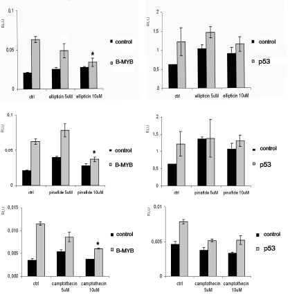 Validation of compounds identified in the primary screen.