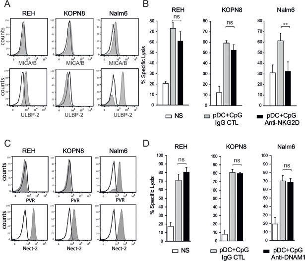 NKG2D, but not DNAM1, plays a role in pre-B ALL lysis by activated NK cells.