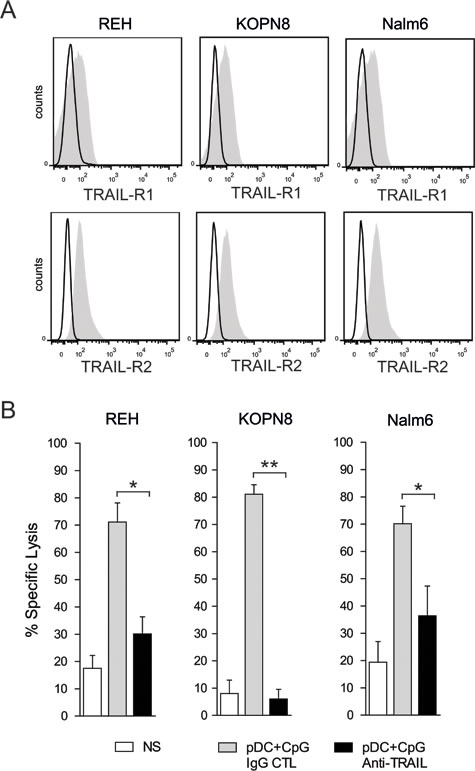 TRAIL mediated apoptosis plays a major role in pre-B ALL lysis by activated NK cells.